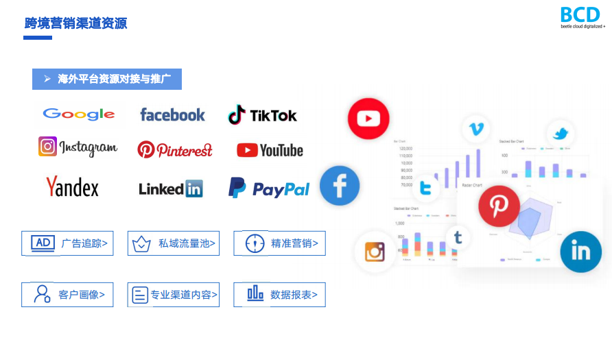 独立站营销